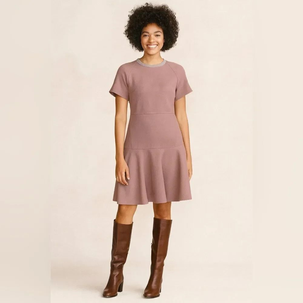 rag & bone Watson Flare Dress NWOT